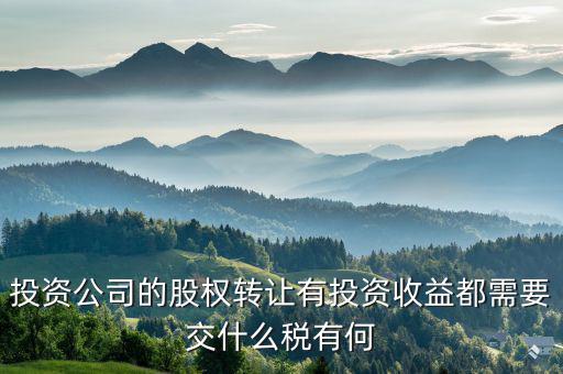投資公司都要納什么稅，外商投資企業(yè)以設(shè)備投資需要交什么稅