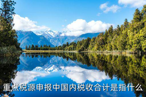 重點(diǎn)稅源填了有什么用，我的電腦重裝后重點(diǎn)稅源以前數(shù)據(jù)怎么查詢