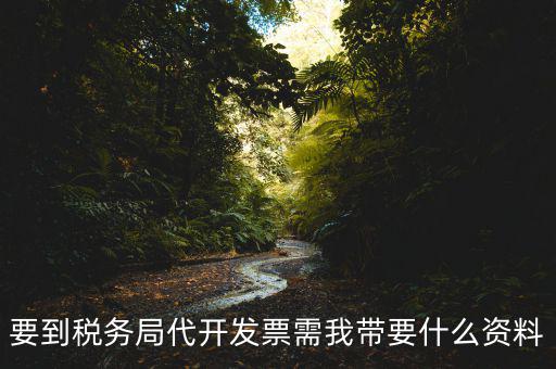 去稅務(wù)局開票需要帶什么資料，去稅務(wù)局開票的話需要帶什么材料呢