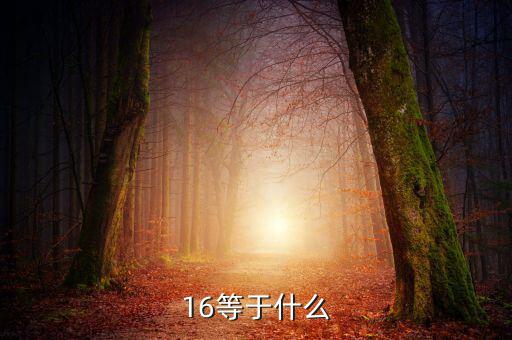 什么深圳1 6政策指，16等于什么