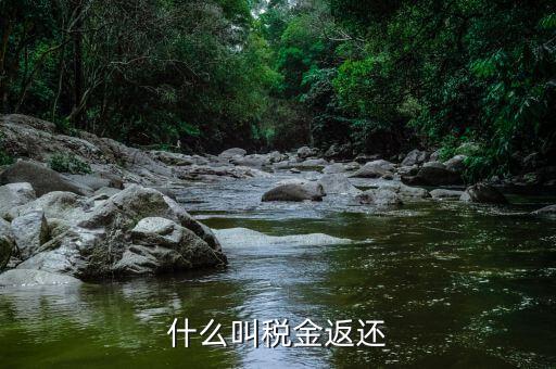 稅收退還的協(xié)議叫什么，什么是稅費返還