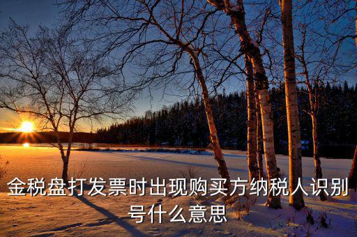 發(fā)票的付款方識(shí)別號(hào)是什么意思，開票方識(shí)別號(hào)是什么意思