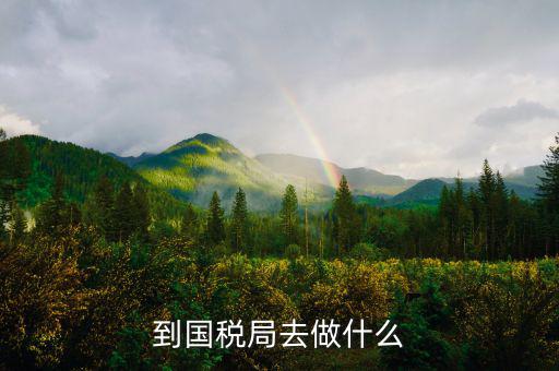 國(guó)稅局什么工作，國(guó)稅是做什么工作的