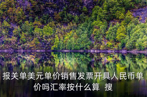 報(bào)關(guān)單美元單價(jià)銷售發(fā)票開(kāi)具人民幣單價(jià)嗎匯率按什么算  搜