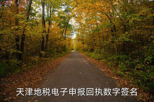 天津地稅自查表是什么，天津地稅電子申報(bào)回執(zhí)數(shù)字簽名