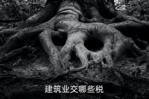 建筑設(shè)計交什么稅，建筑設(shè)計企業(yè)所得稅應(yīng)該交什么稅呀怎么抵扣