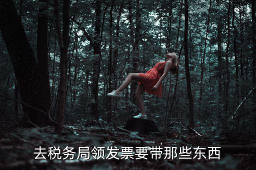 國稅領(lǐng)取發(fā)票需要帶什么，去國稅局領(lǐng)發(fā)票要帶什么