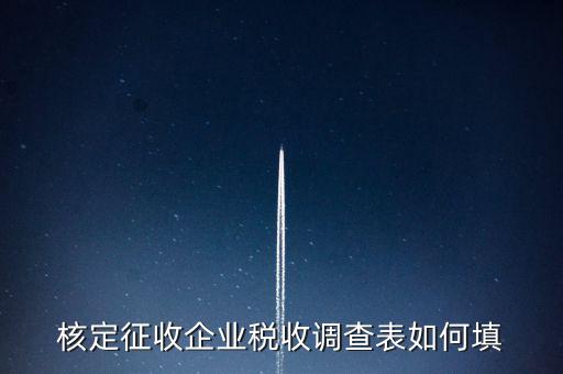什么企業(yè)填稅收調(diào)查表，核定征收企業(yè)稅收調(diào)查表如何填