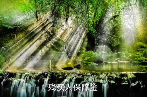 殘疾人保證金是什么，殘疾人保障金
