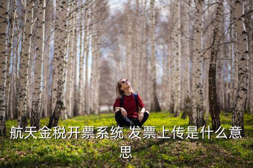 航天金稅是什么，航天金稅接口是什么意思呢