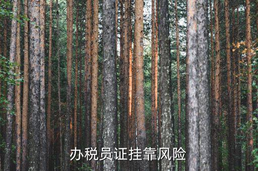 實(shí)名辦稅員有什么風(fēng)險(xiǎn)，里面有個(gè)辦稅人要填我的名字會(huì)不會(huì)付法律責(zé)任有什么風(fēng)險(xiǎn)沒(méi)