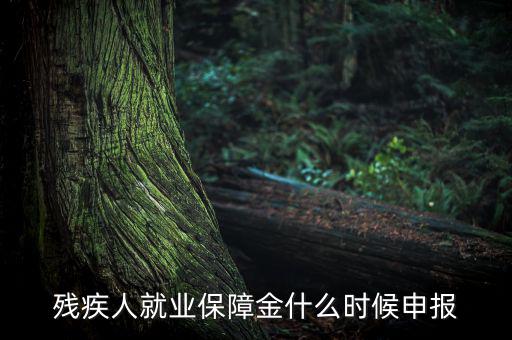 殘疾人保障金什么時(shí)候，殘疾人就業(yè)保障金怎么交什么時(shí)侯交會(huì)計(jì)分錄