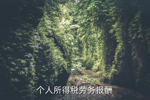 個(gè)稅什么情況勞務(wù)報(bào)酬，有關(guān)個(gè)稅勞務(wù)報(bào)酬