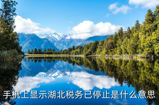 國稅業(yè)務(wù)停用什么意思，手機上顯示湖北稅務(wù)已停止是什么意思