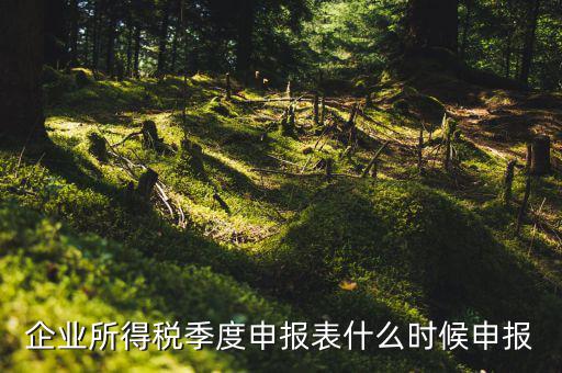 季度稅是在什么時(shí)候報(bào)，年度季度企業(yè)所得稅申報(bào)時(shí)間