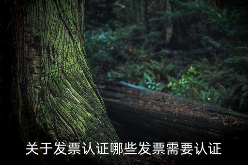 發(fā)票通過什么認證嗎，關(guān)于發(fā)票認證哪些發(fā)票需要認證