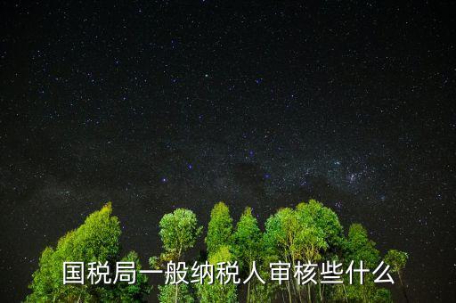 國稅審查企業(yè)些什么，國稅局一般納稅人審核些什么