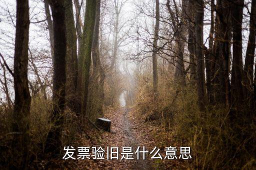 稅務(wù)驗(yàn)舊是什么意思，發(fā)票驗(yàn)證時(shí)提示舊系統(tǒng)已驗(yàn)舊是什么意思