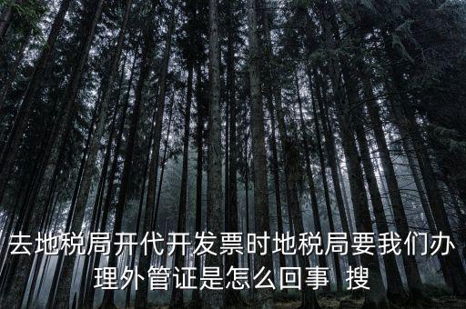 為什么要開(kāi)電子外管證，像您咨詢一下關(guān)于外管證的事宜我前一陣開(kāi)了外管證您說(shuō)是避免