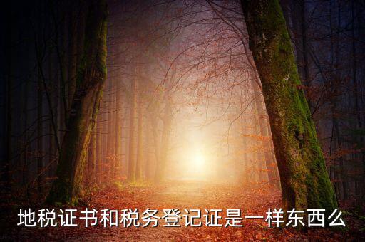 地稅登記證是什么，地方稅納稅資料封面上稅務登記證號是甚么