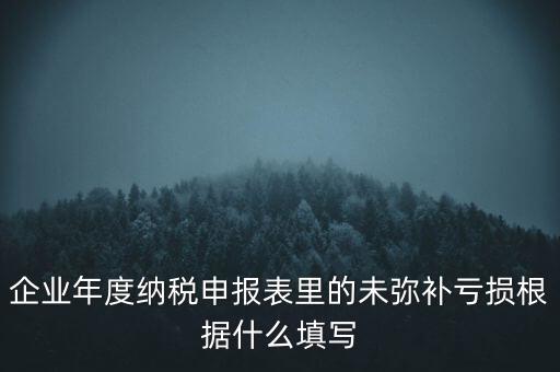 企業(yè)年度納稅申報(bào)表里的未彌補(bǔ)虧損根據(jù)什么填寫(xiě)