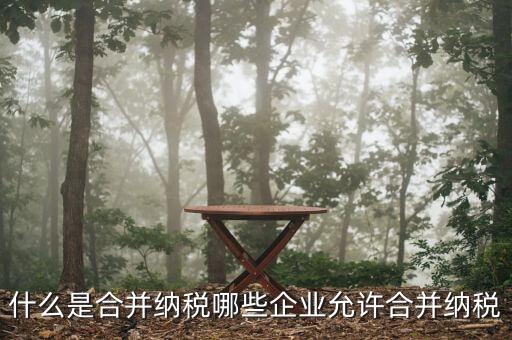 什么是合并計稅，如何合并計稅稅前和稅后合并計稅