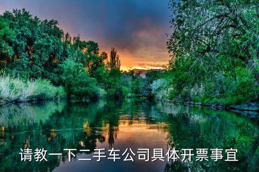 請(qǐng)教一下二手車(chē)公司具體開(kāi)票事宜