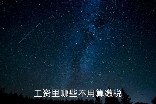什么所得不用上稅，哪些類型的工資薪金所得不用納稅