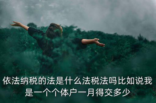 什么是依法納稅人，依法納稅的法是什么法稅法嗎比如說(shuō)我是一個(gè)個(gè)體戶一月得交多少