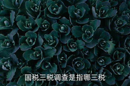 全國稅收調(diào)查是什么，全國稅收調(diào)查表中審核公式IFXXBB8 1 XXBB8 4