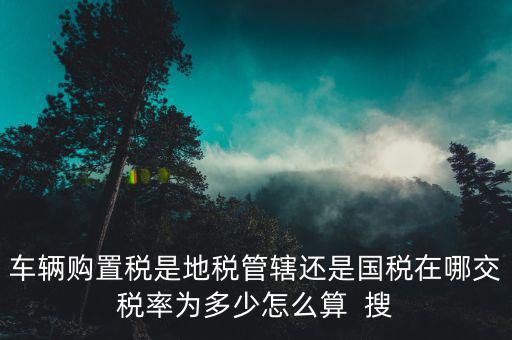 車(chē)輛購(gòu)置稅是地稅管轄還是國(guó)稅在哪交稅率為多少怎么算  搜