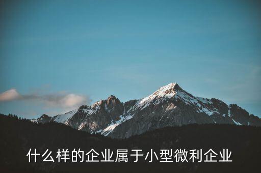 什么企業(yè)算小微企業(yè)，由什么部門來核準企業(yè)屬于小微企業(yè)
