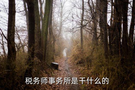 稅務(wù)師事務(wù)所 外勤是做什么的，稅務(wù)師事務(wù)所是干什么的