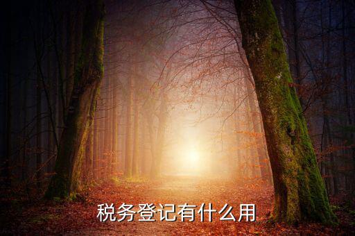 有稅務登記有什么好，稅務登記有什么用