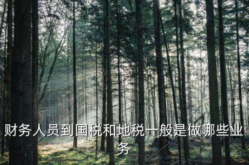 國稅地稅有什么工作，地稅工作人員有哪些職務(wù)
