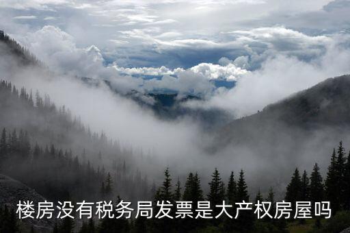 樓房沒有稅務局發(fā)票是大產(chǎn)權房屋嗎