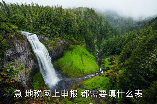 稅務申報表用什么填置，怎么填寫稅務申請表