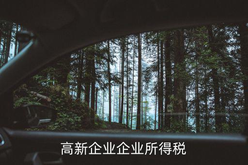 什么高新企業(yè)所得稅，高新企業(yè)企業(yè)所得稅