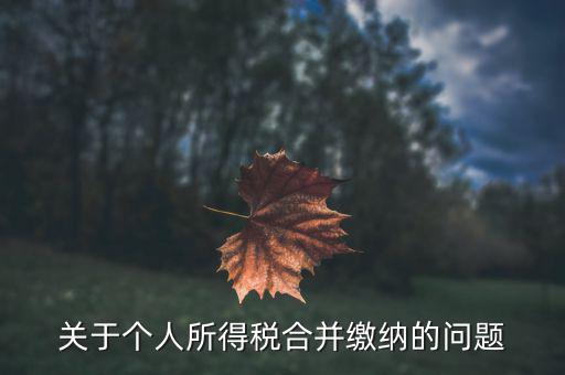 關于個人所得稅合并繳納的問題