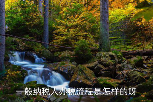 什么是正常辦稅，一般納稅人辦稅流程是怎樣的呀