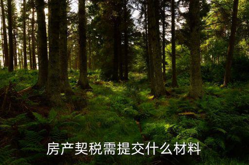 商品房交契稅需要什么材料，買(mǎi)房契稅何時(shí)交需要提供哪些材料
