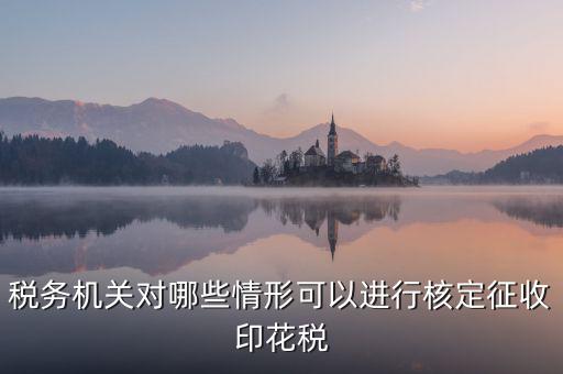 核定印花稅是什么意思，關(guān)于印花稅的核定比例