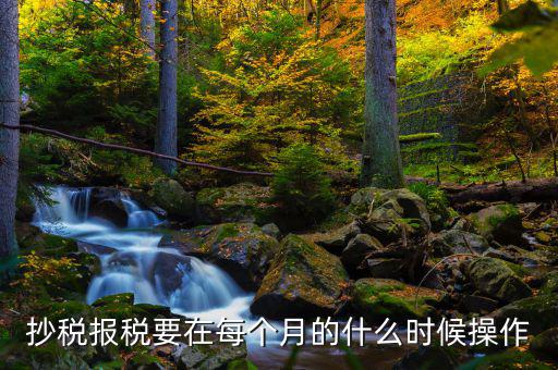 稅控盤什么時(shí)候抄報(bào)，抄稅報(bào)稅要在每個(gè)月的什么時(shí)候操作