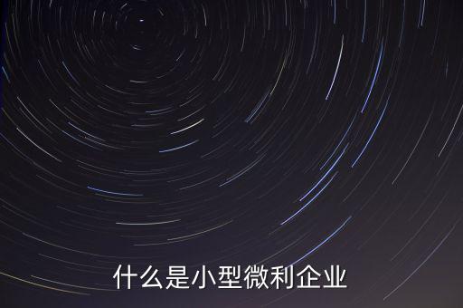 什么是小型微利，什么是小型微利企業(yè)收入從業(yè)人員其它條件