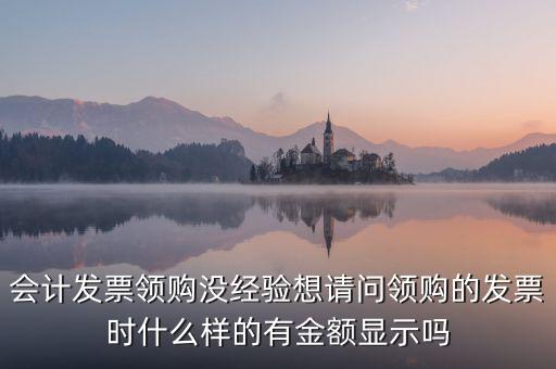 發(fā)票領(lǐng)用單是什么樣的，會(huì)計(jì)發(fā)票領(lǐng)購(gòu)沒(méi)經(jīng)驗(yàn)想請(qǐng)問(wèn)領(lǐng)購(gòu)的發(fā)票時(shí)什么樣的有金額顯示嗎