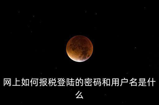網(wǎng)上如何報(bào)稅登陸的密碼和用戶(hù)名是什么