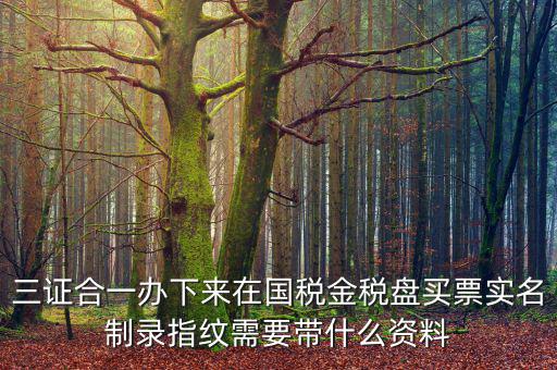 三證合一辦下來在國稅金稅盤買票實(shí)名制錄指紋需要帶什么資料