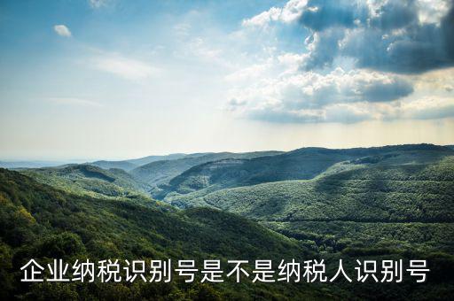 公司納稅識(shí)別號是什么，納稅人識(shí)別號是什么