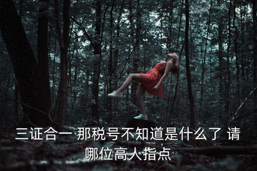 三證合一后的發(fā)票稅號是什么意思，三證合一 那稅號不知道是什么了 請哪位高人指點