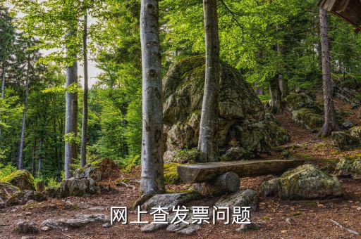 查發(fā)票流向什么意思，網(wǎng)上查發(fā)票問(wèn)題